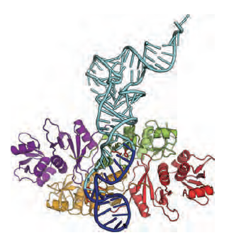 Figure 6-52.png